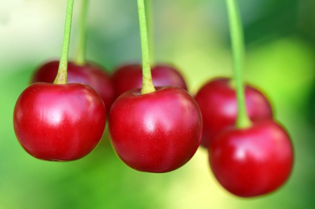 cherries-thebest-food