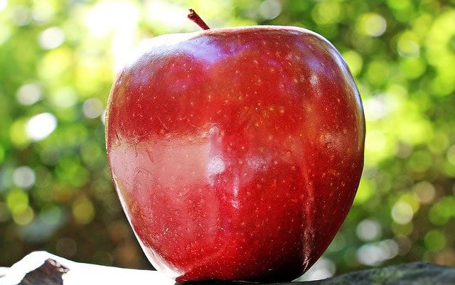 apple-best-fruits-for-weight-loss.jpg