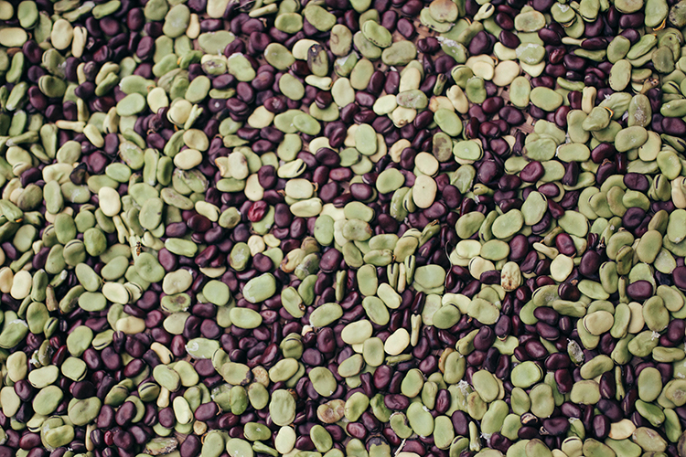 Lima-beans-high-protein-plant-food.jpg