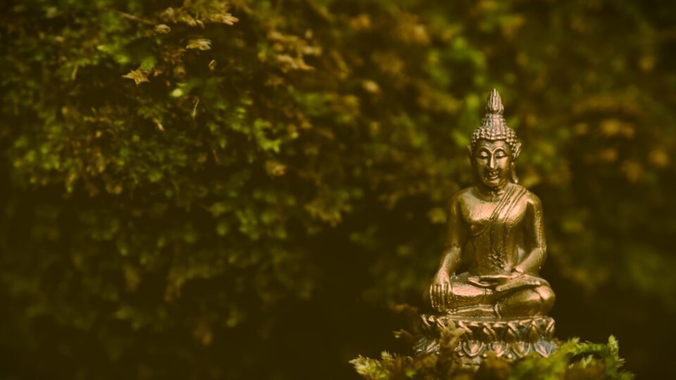 Photo Meditation & Productivity